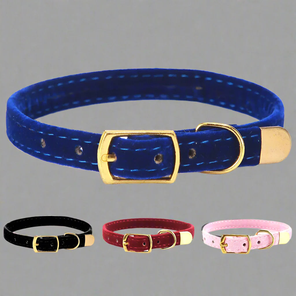 PET COLLARS & LEASHES - ChoreGirl