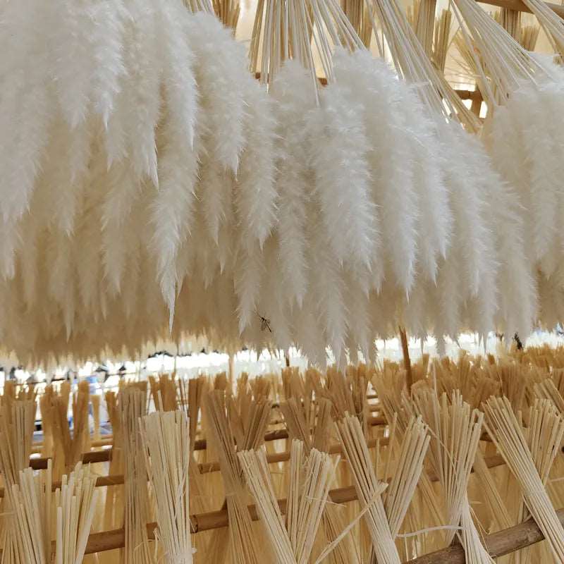 Bouquet of Small Dried Reed Flowers, 80 pieces - ChoreGirl