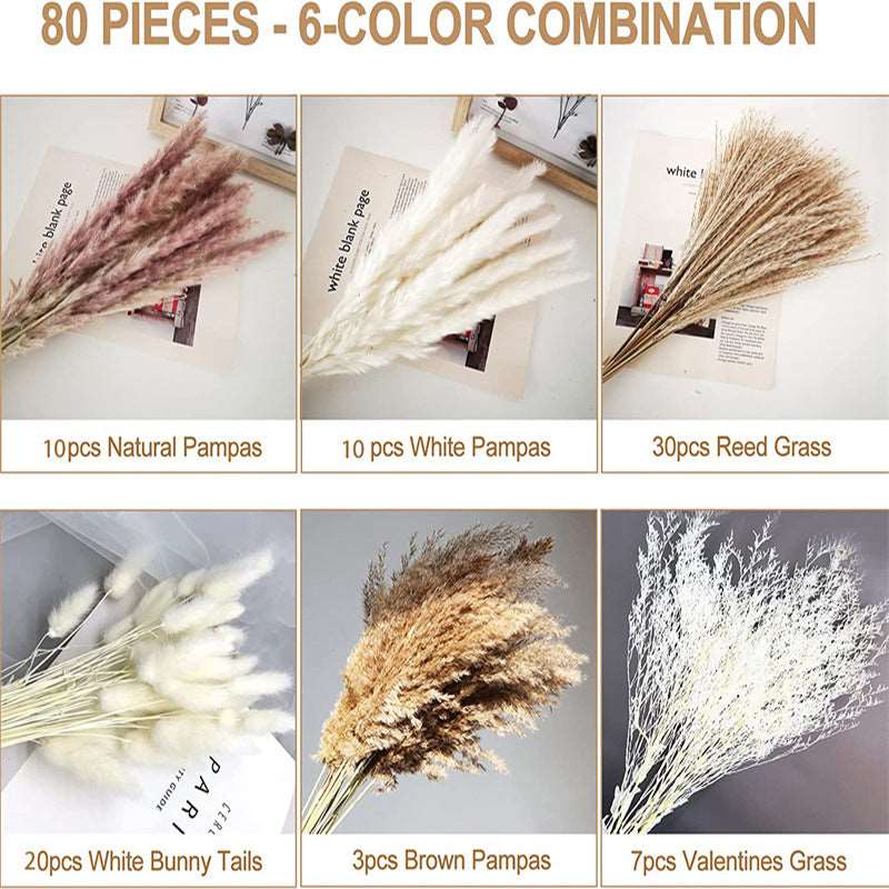 Bouquet of Small Dried Reed Flowers, 80 pieces - ChoreGirl
