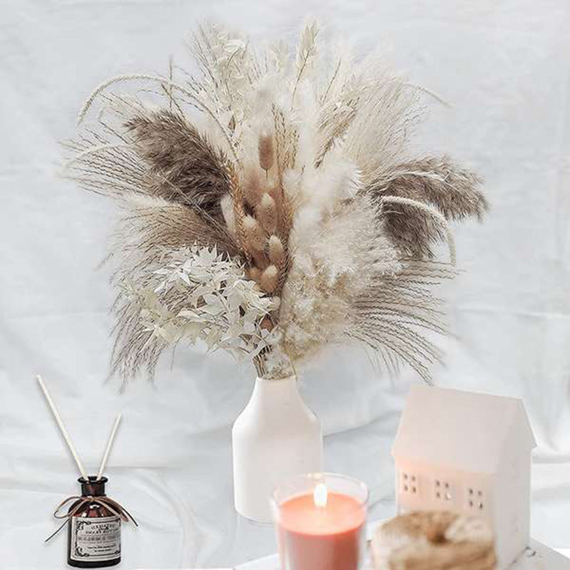 Bouquet of Small Dried Reed Flowers, 80 pieces - ChoreGirl
