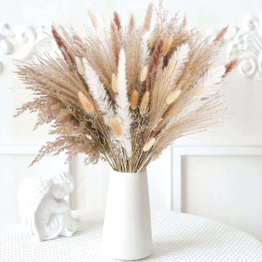 Bouquet of Small Dried Reed Flowers, 80 pieces - ChoreGirl