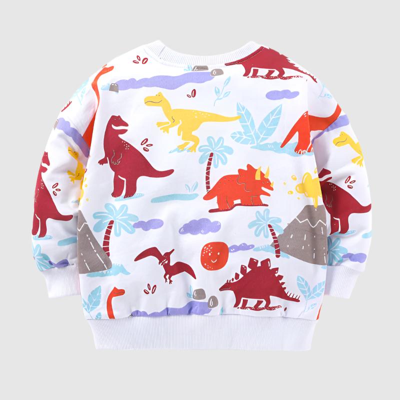 Boy's Long-sleeved Cotton Dinosaur Sweatshirt - ChoreGirl