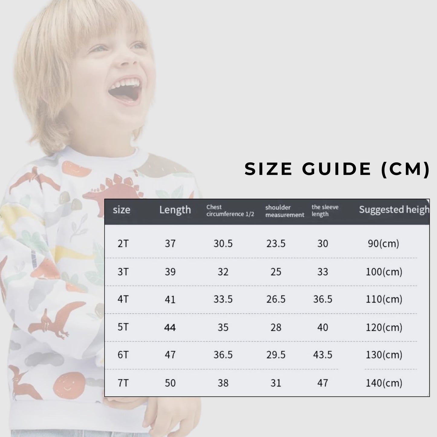 Boy's Long-sleeved Cotton Dinosaur Sweatshirt - ChoreGirl