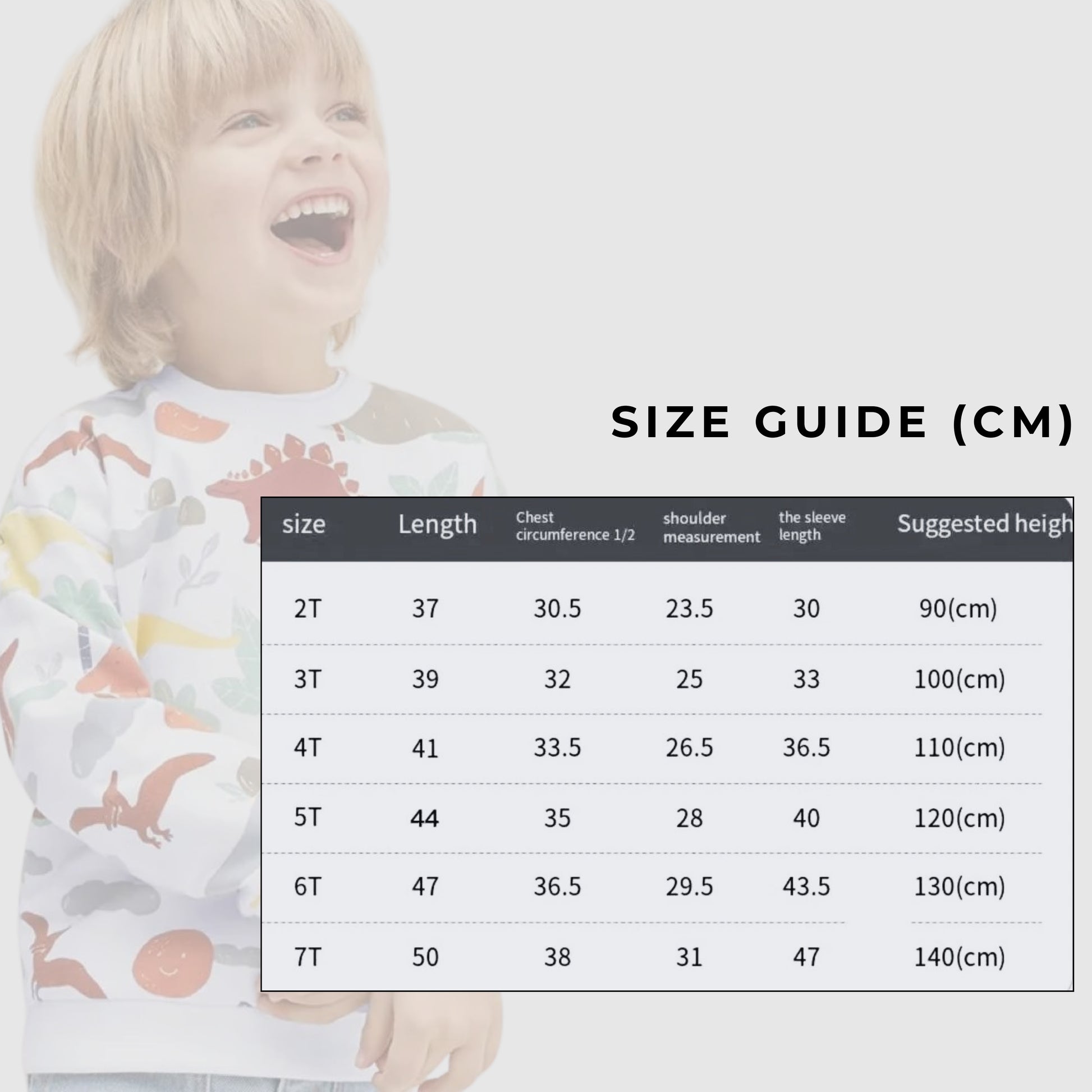 Boy's Long-sleeved Cotton Dinosaur Sweatshirt - ChoreGirl