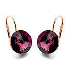 Women's Simple and Elegant Crystal Earrings - ChoreGirl