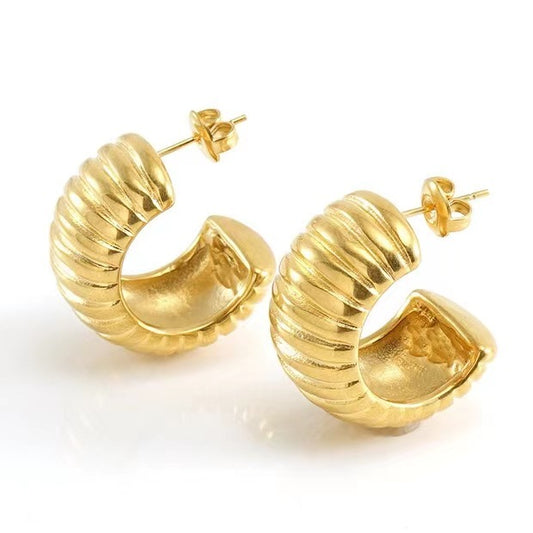 Women's Stainless Steel Wide Stripe C-Shaped Earrings - ChoreGirl