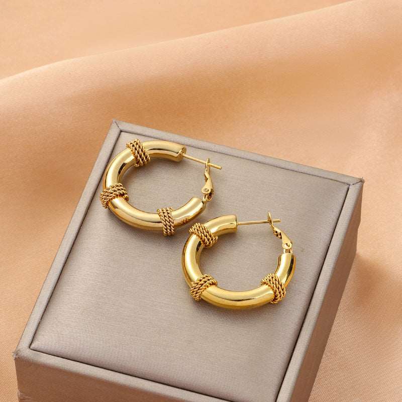 Women's Various Styles Titanium Steel Earrings - ChoreGirl