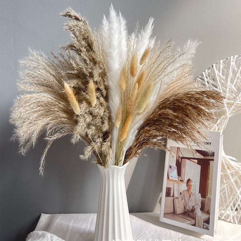Bouquet of Small Dried Reed Flowers, 80 pieces - ChoreGirl