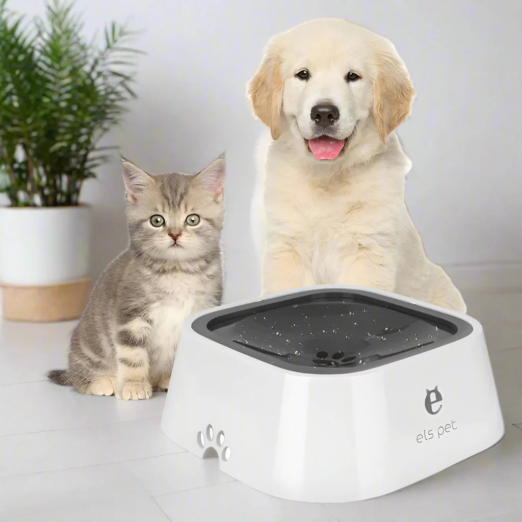 PET DRINKING & FEEDING - ChoreGirl