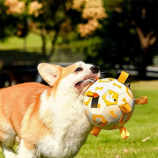 Dog Interactive Soccer Toys Dog for Training, Chewing, Teething - ChoreGirl