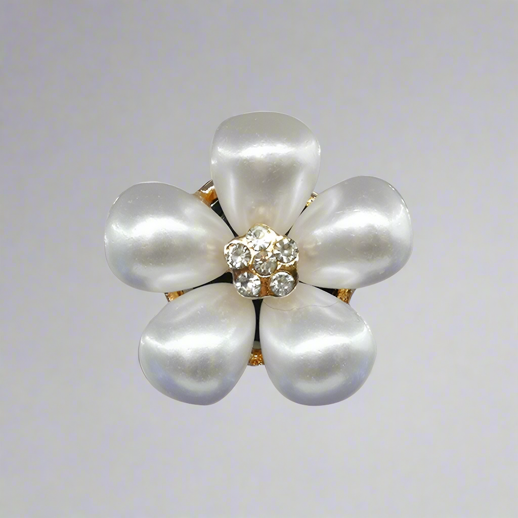 Children's Metal Shoe Ornament Buckle for Crocks