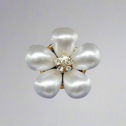 Children's Metal Shoe Ornament Buckle for Crocks