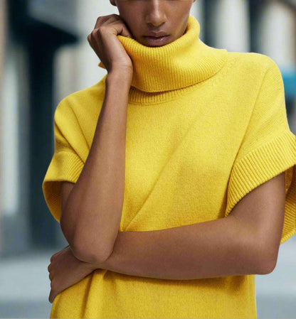 Women's High Collar Sleeveless Knitted Dress - ChoreGirl