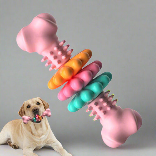 Colorful dog toys with a dog chewing on one of them on a white background