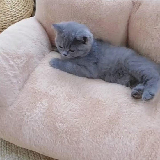 Luxury Pet Bed, Sofa For Small Medium Pets